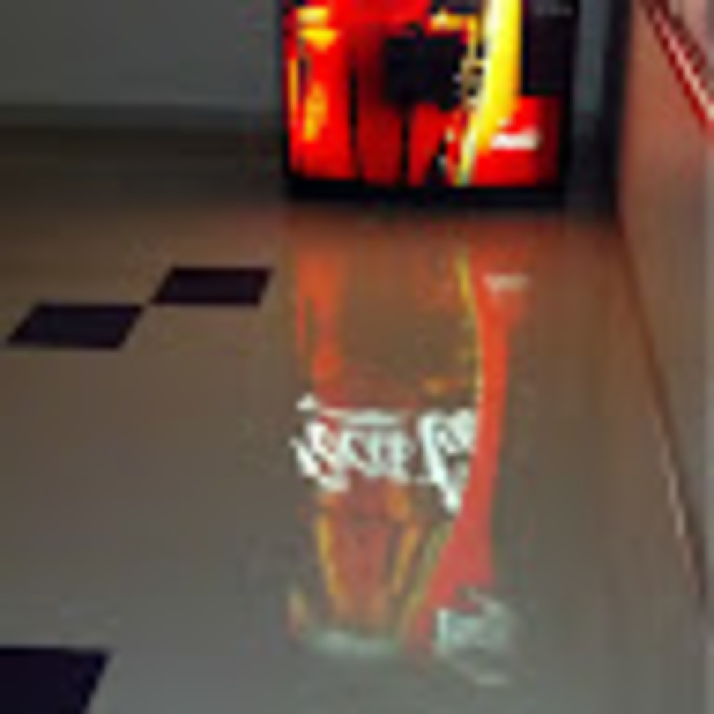 Meet your Posher, Donnie